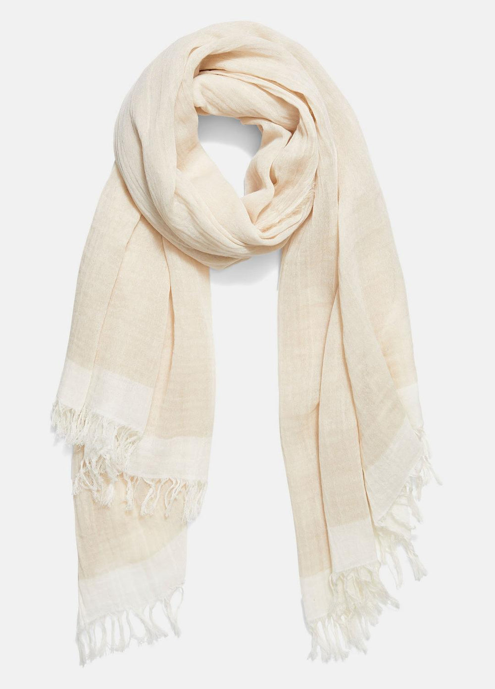 Border-Stripe Cotton Scarf in Scarves & Hats - OPTIC WHITE/WHITE OAK | VINCE Women